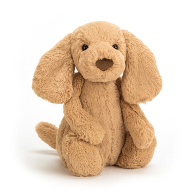 Jellycat Peluche Chien Toffee Bashful - 18 cm Jellycat Peluche Chien Toffee Bashful - 18 cm