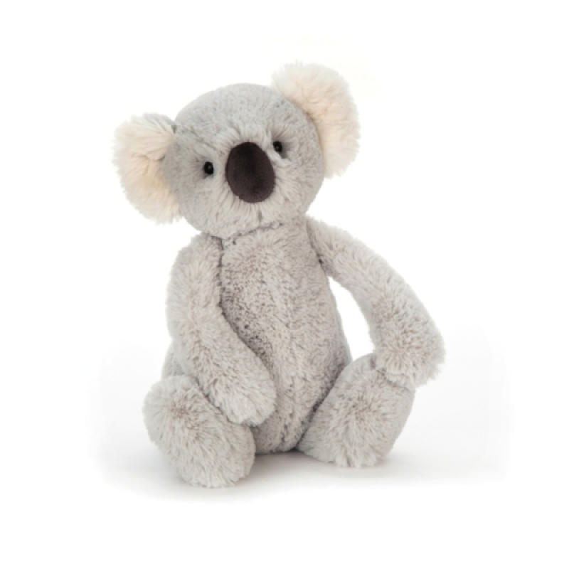 Peluche Koala Bashful - 31 cm de chez Jellycat, collection Bashfuls
