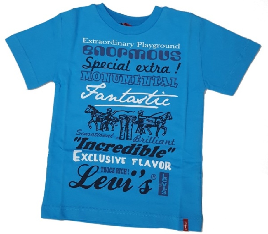 Tee-Shirt Ethan Manches Courtes bleu - 5 ans de chez Levis, collection Basique Kid Boy