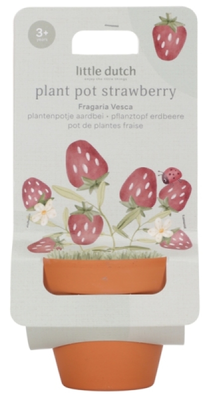 Kit de Plantation Fraise Garden Little Dutch Kit de Plantation Fraise Garden de chez Little Dutch, collection Garden