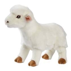 Peluche Agneau Blanc