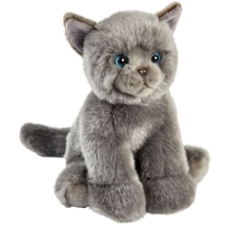 Peluche Chat Chartreux