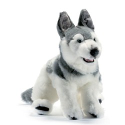 Peluche Chien Husky - 42 cm