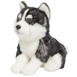 Peluche Chien Pomsky