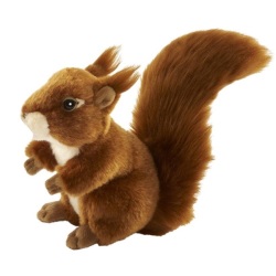 Peluche Ecureuil - 20 cm