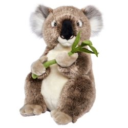 Peluche Koala
