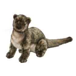 peluche furet