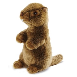 Peluche Marmotte - 18 cm