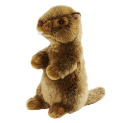 Peluche Marmotte - 25 cm