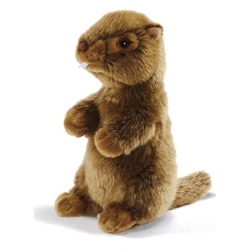 Peluche Marmotte siffleuse - 18 cm