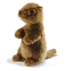 Peluche Marmotte siffleuse - 25 cm