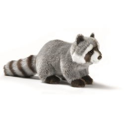 Peluche Raton Laveur - 25 cm