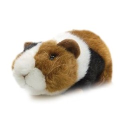 Peluchette Cochon Inde - 17 cm