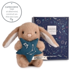 Peluche Lapin Capricorne Doudou Astro