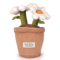 Peluche Marguerite Botanique