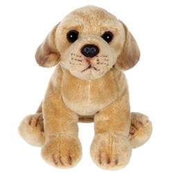Peluche Chien Labrador Floppipup - 22 cm