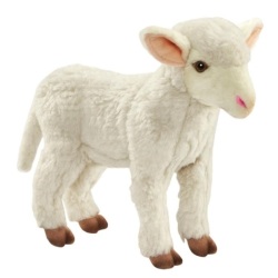 Peluche Agneau Blanc