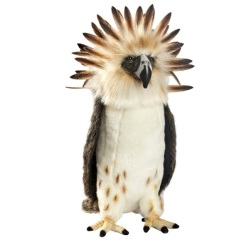Peluche Aigle Des Philippines - 30 cm