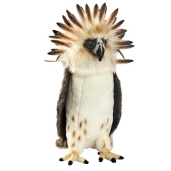 Peluche Aigle Des Philippines - 50 cm