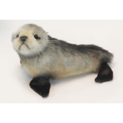 Peluche Bébé Otarie