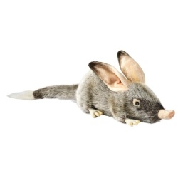 Peluche Bilby