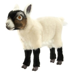 Peluche Biquette