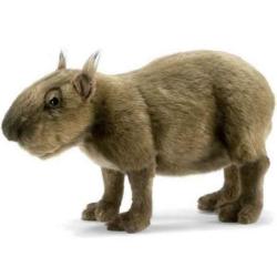 Peluche Capybara