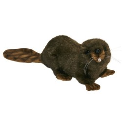 Peluche Castor Couché - 22 cm