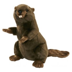Peluche Castor Dressé