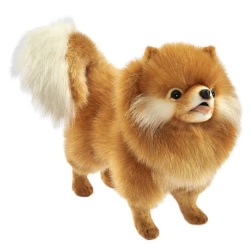Peluche Chien Chow - Chow