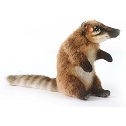 Peluche Coati - 27 cm