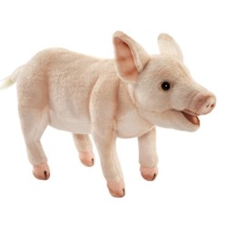 Peluche Cochon - 30 cm