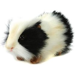 Peluche Cochon d Inde Noir Et Blanc