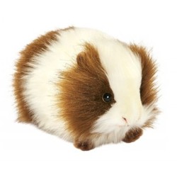Peluche Cochon d Inde Roux Et Blanc