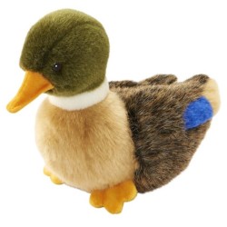 Peluche Colvert - 19 cm