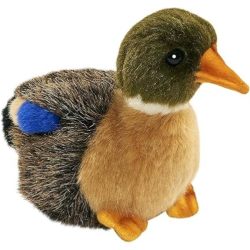 Peluche Colvert