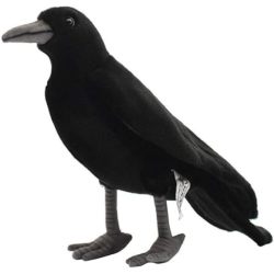 Peluche Corbeau