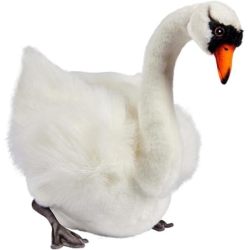 Peluche Cygne Blanc
