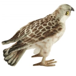 Peluche Faucon Crécerelle