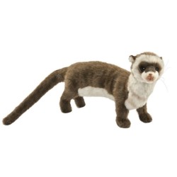 Peluche Furet - 35 cm
