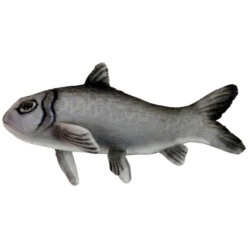 Peluche Hareng - 13 cm