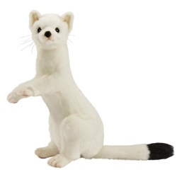 Peluche Hermine Blanche