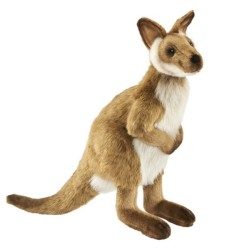 Peluche Kangourou Wallaby