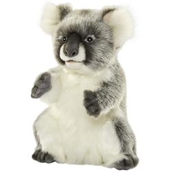 Peluche Koala