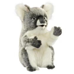 Peluche Koala Assis - 37 cm