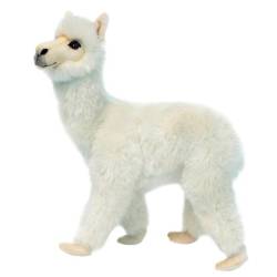 Peluche Lama Blanc - 35 cm
