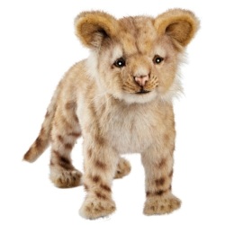Peluche Lionceau