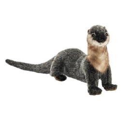Peluche Loutre - 23 cm