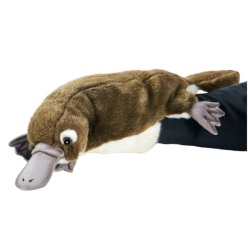 Peluche Marionnette Ornithorynque