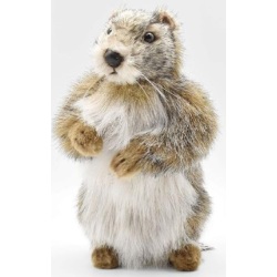 Peluche Marmotte - 25 cm